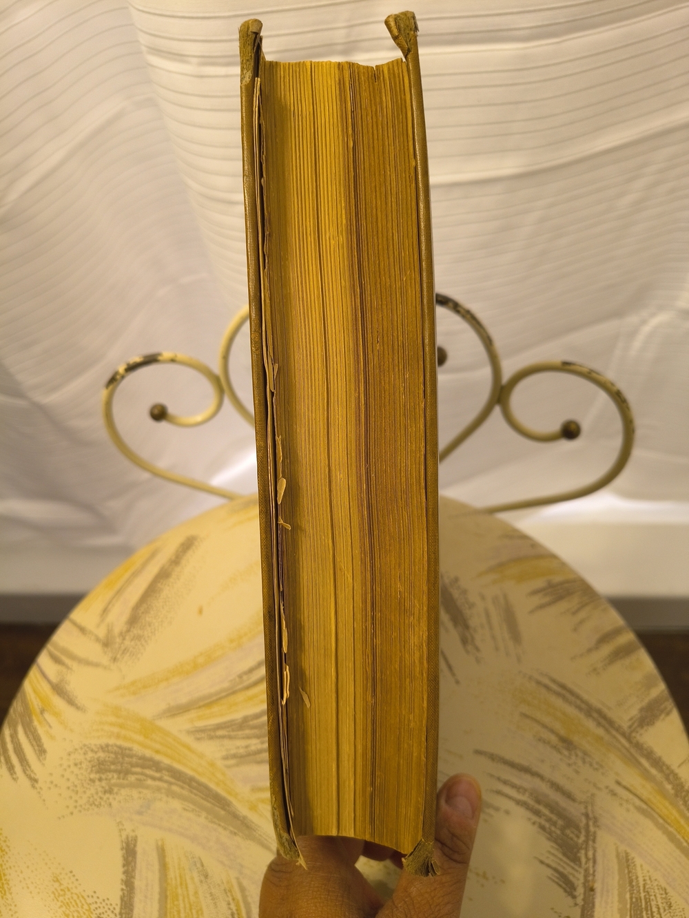 Rear Collectable Book - Picture 11 of 14